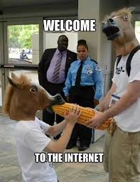 Image result for welcome to the internet meme