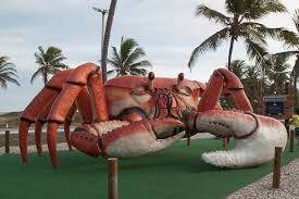Resultado de imagem para passarela do caranguejo em aracaju