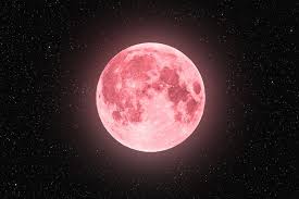 A full 'pink moon' will illuminate Metro Vancouver. Why is it called that?
