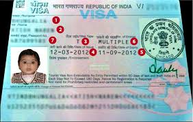 Image result for visa