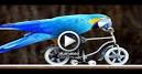 parrot 2 0 drone video sunbather clipart