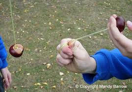 Résultat de recherche d'images pour "conkers photos"