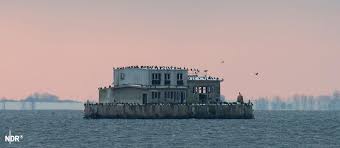 Lost Place vor Rügen: Ehemalige Militärinsel in der Ostsee wird bei Auktion versteigert