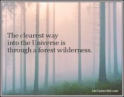 John Muir Quotes - The way into Universe is through forest wilderness via Relatably.com