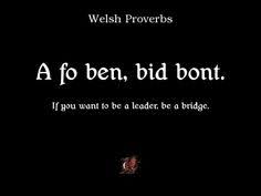 Welsh Proverbs on Pinterest | Proverbs, Proverbs Quotes and ... via Relatably.com