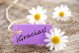 Resultado de imagen de gracias en movimiento con flores