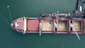Panamax market encountered significant rises this week