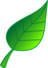 https://encrypted-tbn3.gstatic.com/images?q=tbn:ANd9GcQouqkTzpDk8ToTpsQUITsq0-hwHVmB5SDUwEawmfedqVtETn7e
