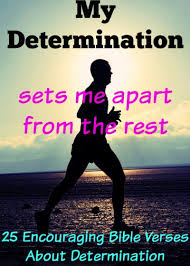 determination-motivation-quote.jpg via Relatably.com
