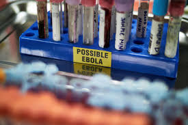 Existing vaccines induce antibody response against the Ebola virus that's driving Congo outbreak