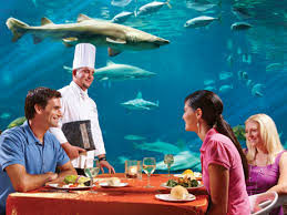 Image result for undersea restaurant blog