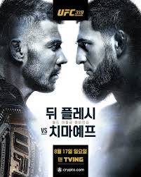 일간스포츠 - News update