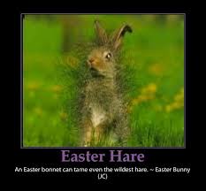 Easter Hare Pictures, Photos, and Images for Facebook, Tumblr ... via Relatably.com
