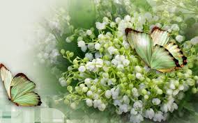 R�sultat de recherche d'images pour 