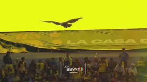 America Vs Pachuca