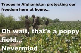 Résultat de recherche d'images pour "opium field afghanistan"