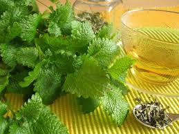 Image result for chá de salsa