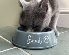 cat eating from a food bowl with its name on itの画像