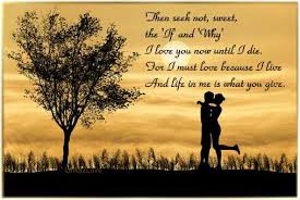 quote_poem_because_asked_why_luv.jpg via Relatably.com