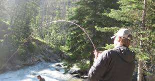 June 16, 2026 Spring/Summer Chinook Update
