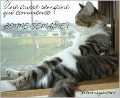 Résultat de recherche d'images pour "BONNE SEMAINE"