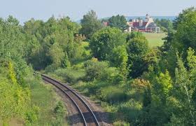 Halton Hills News - News update