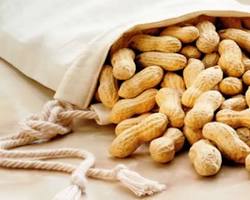 صورة الفول السوداني