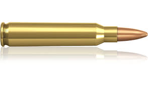 images?q=tbn:ANd9GcQqGq89irng_5Wst3E4ENRLPt9TtMbIqMhVpayin1-fNAYlo6nE