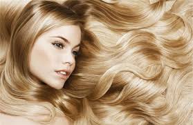 Image result for healthy hair