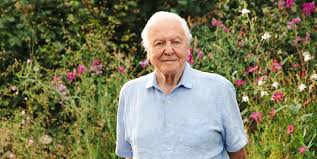 Sir David Attenborough receives double National TV Awards nomination in the year he turns 100