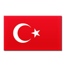 Resultado de imagem para lig1 turkey logo