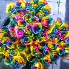 Image result for karangan bunga mawar biru