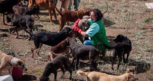 Altruismo sin reglas: el riesgo del cuidado animal