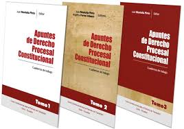 Apuntes de derecho procesal constitucional 