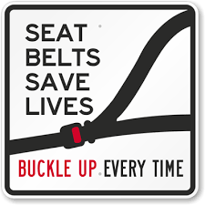 Image result for seat belts save lives