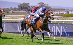 Cape Racing - News update