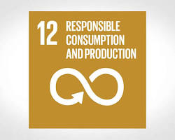 Εικόνα Responsible Consumption and Production SDG icon
