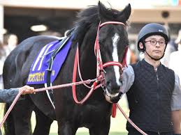 セレクト4.1億円のホウオウプロサンゲ 史上最高額のJRA障害勝ち馬となるか（netkeiba）