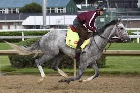 Image result for kentucky derby images 2016 ago