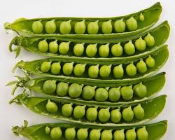 Image of Pea vegetable