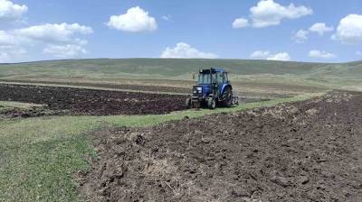 Ardahan'da ata tohumu buğday ve arpa tohumları toprakla buluşturuluyor İhlas Haber Ajansı