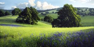 Картинки по запросу НАЕДИНЕ С ПРИРОДОЙ