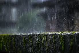 Manado Post - News update