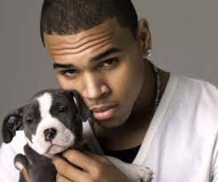 Chris Brown is launching a charity organization named the Symphonic Love Foundation. According to their website, Symphonic Love “believes in the capacity of ... - Chris-Brown-symphonic-love-foundation-black-enterprise