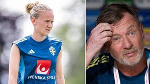 SVT Nyheter - News update