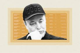 DOGE Savings Under Scrutiny: Are Government Efficiency Claims Overstated?