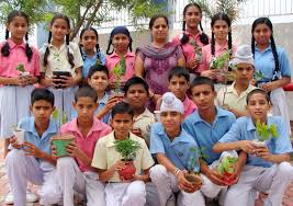 Image result for Tree plantation