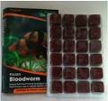 How Do I: Feed Frozen Bloodworms?<a name='more'></a> m