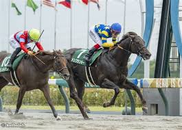 競馬ラボ - News update