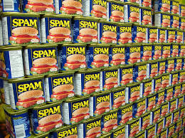 blog community spam